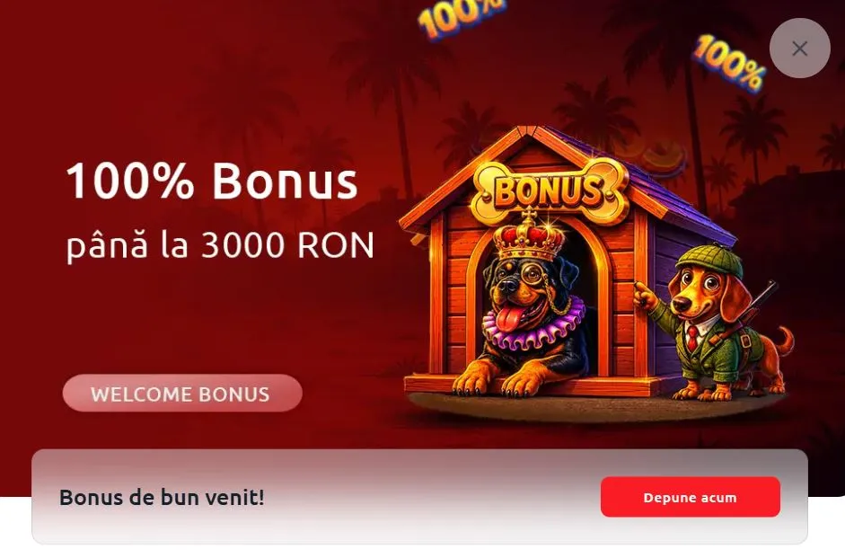 lista cazinourilor online din Rom&acirc;nia Oferte de bun venit, promoții și recompense recurente